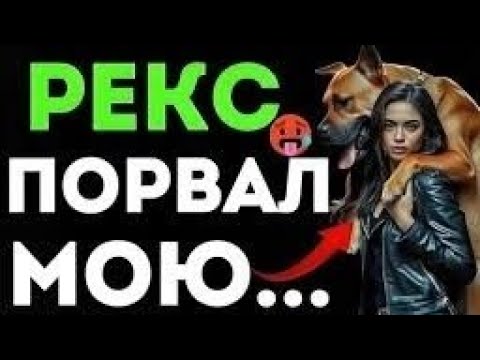 Видео: «Муж не мог сделать этого 2 года, но когда в дело вошла моя собака Рекс — я начала заново жить.»