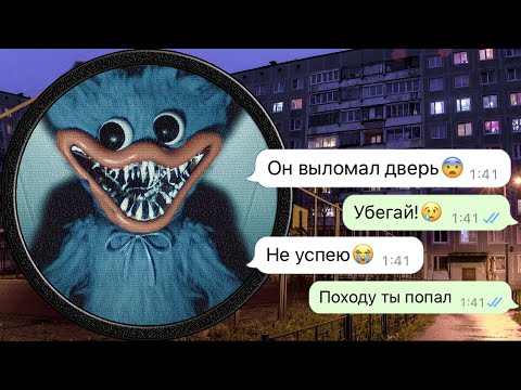 Видео: доигрались Хаги Ваги у меня дома