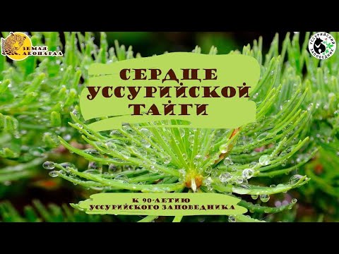 Видео: Сердце уссурийской тайги (2024)