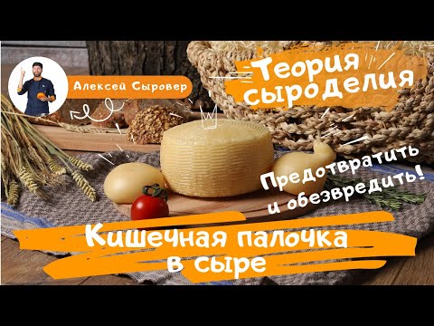 Видео: Кишечная палочка в сыре? Предотвратить и обезвредить.