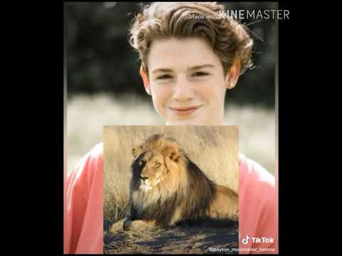 Видео: Смешные видео Американ бой 🌷🐛 с Тик Ток ❤️