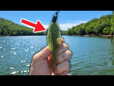 Видео: Эта странная приманка ловит гигантов (Berkley Flux Gill)