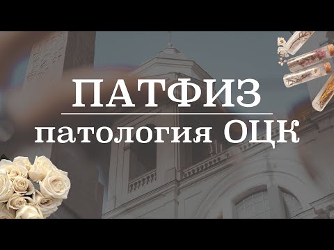 Видео: Патология ОЦК (нормоволемия, гиповолемия, гиперволемия) | Патологическая физиология