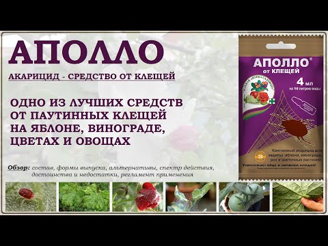 Видео: Аполло - одно из лучших средств от паутинных клещей на яблоне, винограде, цветах и овощах. Обзор2025