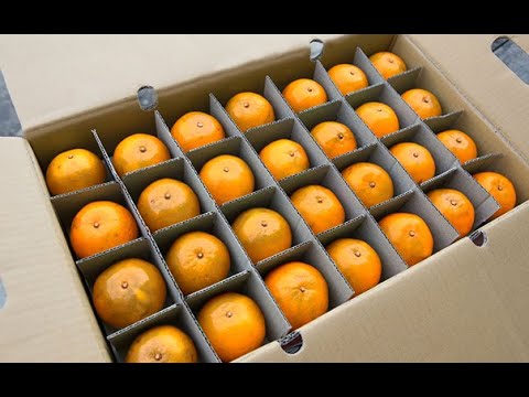 Видео: А ты кто такой? Вот, чем ты, блин, других-то лучше? Почему тебя надо взять на работу?