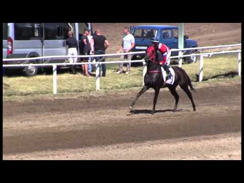 Видео: 11 скаковой день - 29 августа 2015 года