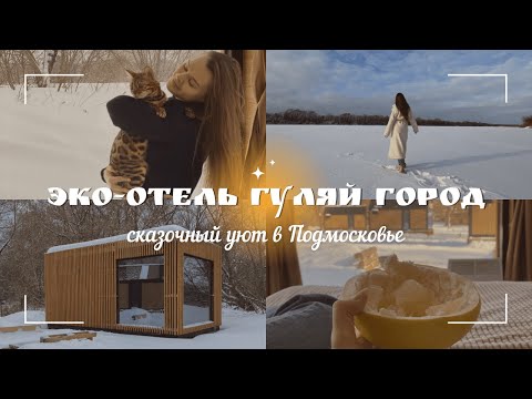 Видео: ГЛЭМПИНГ ГУЛЯЙ ГОРОД | Загородный отель на берегу Оки | Новый год в Подмосковье | Отдых с животными