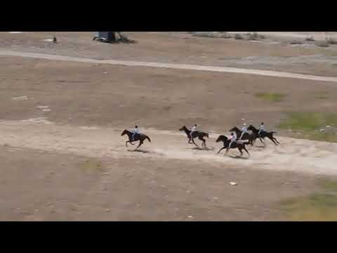 Видео: АЛАМАН. Орозо айт"Ат адамдын канаты"жамаатынын кубогу.15-май 2021-жыл.