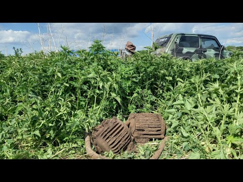 Видео: 7 дней КоПа на деревне (День5)