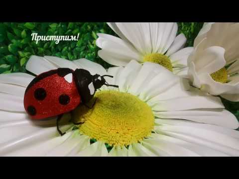 Видео: Видео МК Божья Коровка! Ladybug Master class! DIY