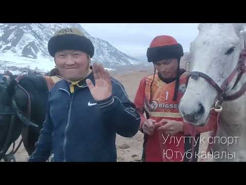 Видео: Алайда чон соорунду Жалал-Абаттын аттары терип салды
