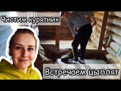 Видео: Уборка курятника и вылуп цыплят/Живем по-деревенски #45