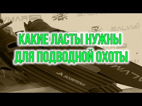 Видео: Какие нужны ласты для подводной охоты? Урок для начинающих охотников.