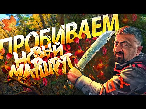 Видео: 🍂Золотая осень❗Незаконченный маршрут☹