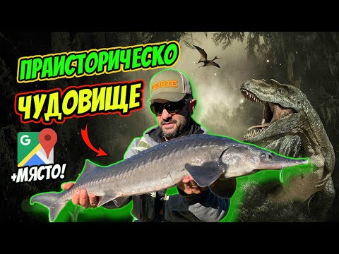 Видео: ETO КЪДЕ ДА ХВАНЕТЕ  СОМ, ЩУКА, ПЪСТЪРВА  и ПРАИСТОРИЧЕСКИ ЗВЯР!