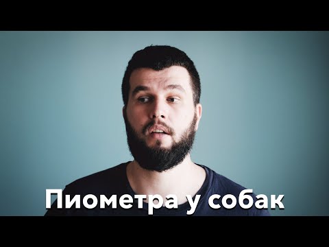 Видео: Информация для владельцев сук - пиометра