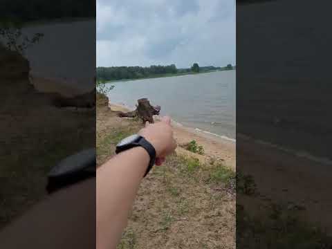 Видео: Кемпинг Пахомово (Высокий Берег), Вилейка, Вилейское водохранилище. Обзор беседок.