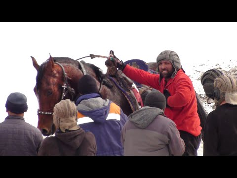 Видео: БЕХТАРИН МУСОБИКАИ БУЗКАШИ САБЗИХАРФ-ТАВИЛДАРА КИСМИ 1.