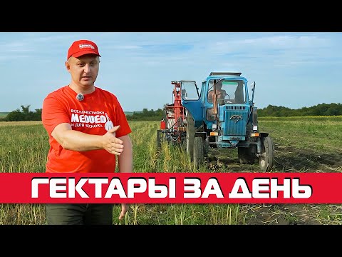 Видео: УБОРКА УРОЖАЯ 2025 НА КОМБАЙНЕ MEDVED КУ-1