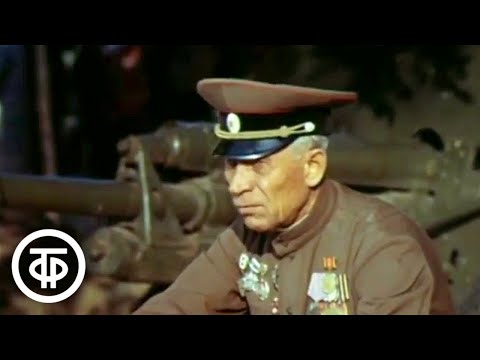 Видео: И память всё ещё в походе... Фронтовые судьбы ветеранов. Документальный фильм (1985)
