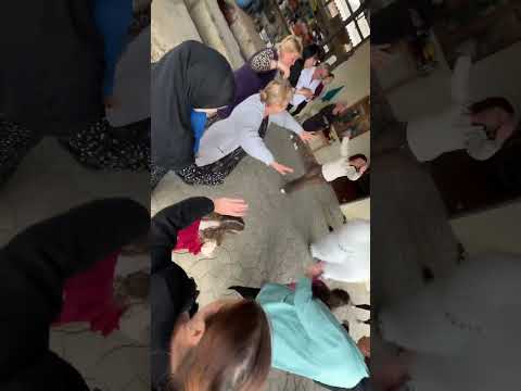 Видео: 27 сентября 2025 г.