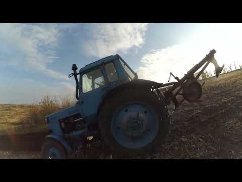 Видео: трактор мтз 80  плн 3 35 оранка 2022
