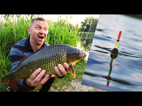 Видео: ПОЛОМАЛ УДОЧКУ И СЬЕЛ ПОПЛАВОК, ЕСЛИ БЫ ЗАХОТЕЛ. КАРПЫ ОБЖОРЫ НА ПОПЛАВОЧНУЮ СНАСТЬ.