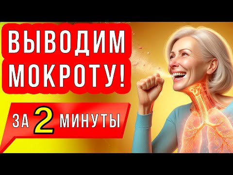 Видео: Как БЫСТРО вывести МОКРОТУ из бронхов и избавиться от СЛИЗИ? ПРОСТЫЕ УПРАЖНЕНИЯ для ЛЁГКИХ