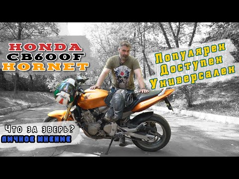 Видео: [Личное мнение] Honda CB600f hornet | Один из самых популярных городских