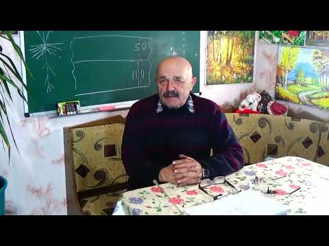 Видео: Нужны помидоры, но нет воды для полива? Тогда сделайте так,  и урожая хватит для всей семьи!