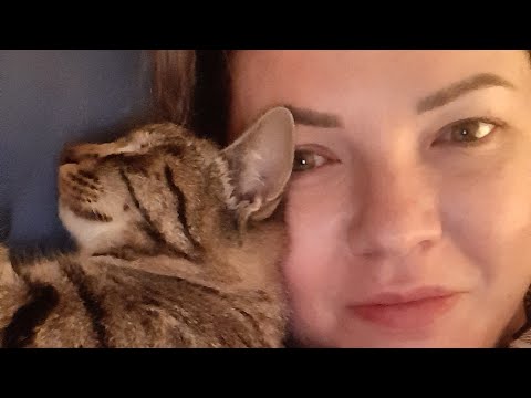 Видео: ДЕМЕНЦИЯ. Моменты ухода. Про кота.Нужен ваш совет 