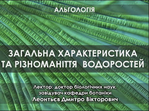 Видео: Альгологія 1. Загальна хараткеристика та різноманіття водоростей.