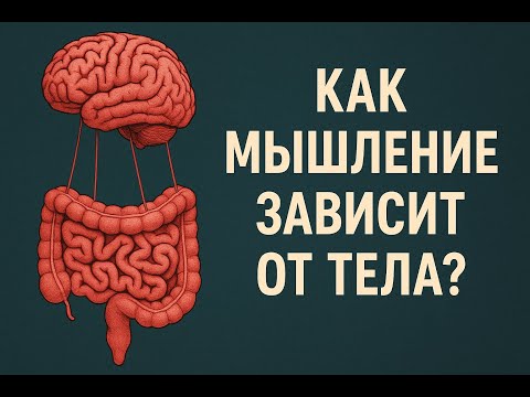 Видео: Дела кишечные. Как мышление зависит от тела?