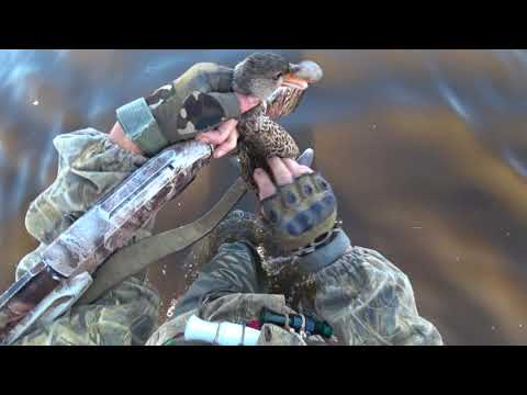 Видео: Охота на утку в новом для себя озере, ну а с гусем всё как всегда...