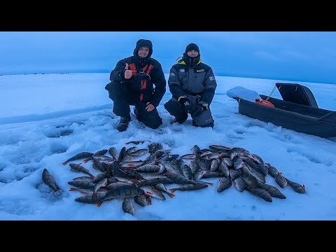 Видео: Ловлю окуня на разные БЛЕСНЫ. Зимняя рыбалка на окуня на Ладоге.