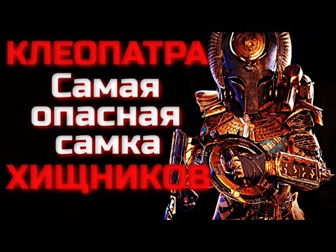 Видео: ВСЕ О ХИЩНИЦЕ КЛЕОПАТРЕ | САМКА ПОБЕДИВШАЯ ДАТЧА | ПОЧЕМУ КЛЕОПАТРА ЕГО ПОЩАДИЛА