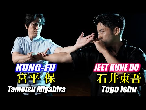 Видео: Удивительная техника управления противником, KUNG-FU and JEET KUNE DO