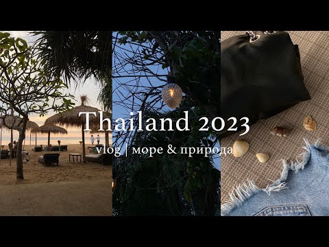 Видео: VLOG | Тайланд 2023 | part 1 | отель Botany beach resort | местная кухня, природа, релакс у моря 🐚