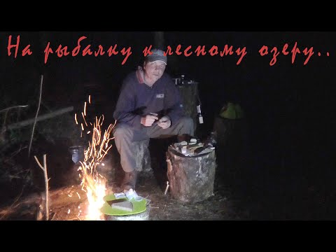 Видео: Одиночный поход. Озеро малое Юринское. Две ночи на диком берегу...