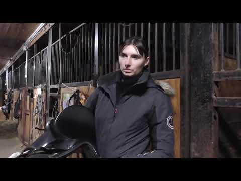 Видео: Как подобрать лошади седло по интернету?