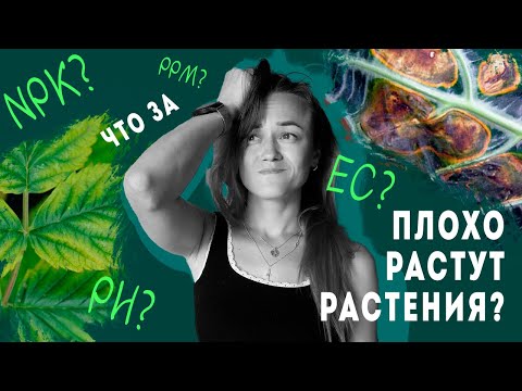 Видео: ВЫ НЕ ПОВЕРИТЕ как NPK, PH, EC влияют на здоровье ваших РАСТЕНИЙ