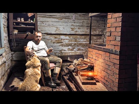 Видео: Восстанавливаю дедовский дом с собакой. ВОЛКИ НАС УЧУЯЛИ