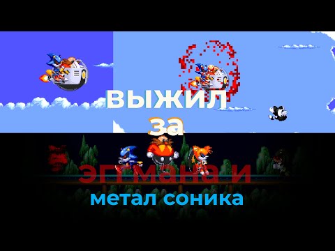 Видео: выжил за эггмана и метал соника Tails exe The Demonical Spirit