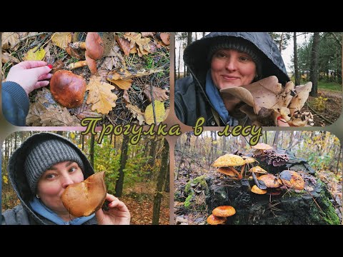 Видео: ПРОГУЛКА В ЛЕСУ🌲 СПУСТЯ БОЛЕЕ ТРЁХ ЛЕТ, Я НА ЭТО РЕШИЛАСЬ 🍄😁03.11.25
