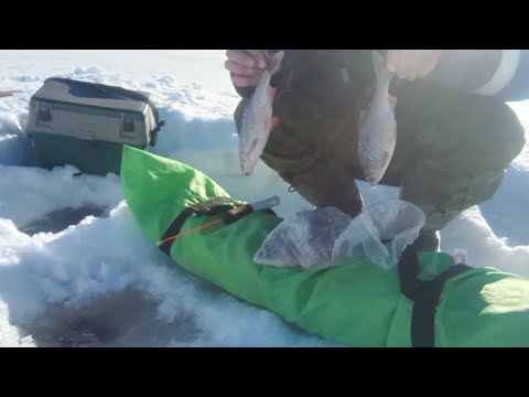 Видео: Рефтинское водохранилище. Найти сорогу .