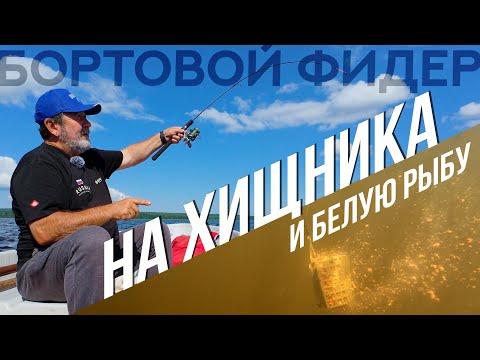 Видео: ДОНКА с берега ОТДЫХАЕТ! Как НАЛОВИТЬ с лодки ХИЩНИКА и БЕЛУЮ РЫБУ