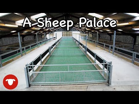 Видео: Улучшение этого овчарни за 70 000 фунтов стерлингов