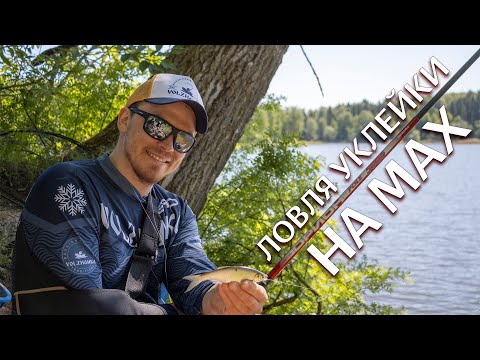 Видео: Дмитрий Елисеев БЕЗ СПИННИНГА, но с поплавком! ОСНАЩАЕМ УДОЧКУ ПРАВИЛЬНО, Улов гарантирован.