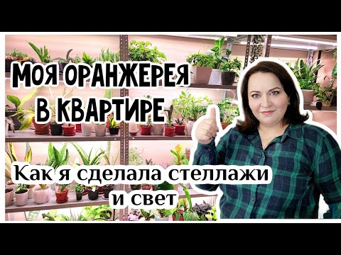 Видео: Обзор новинок и растений в спальне. Организация стеллажей и монтаж фитоламп.