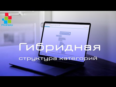 Видео: Гибридная структура категорий